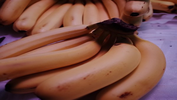 厌食症饮食治疗方法