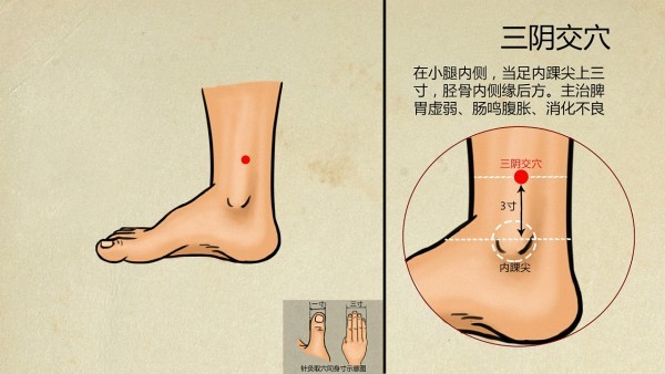 细菌感染的临床表现
