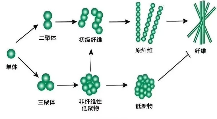 突破性进展！阿尔茨海默病治疗新曙光，精准干预或成关键
