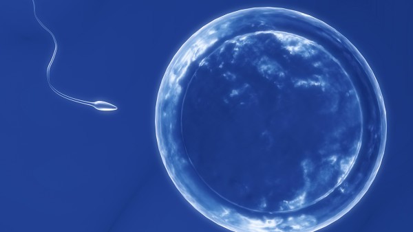 直肠癌的术后康复