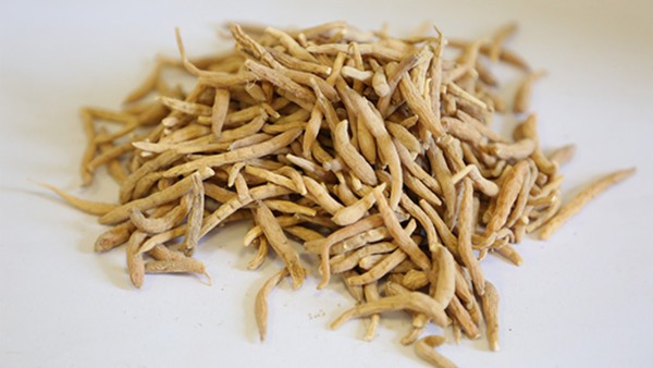 膀胱炎患者如何维护膀胱健康？