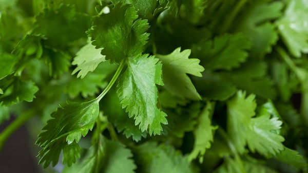 膝关节损伤的预防方法