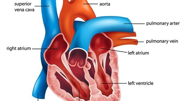 偏头痛能通过针灸缓解吗