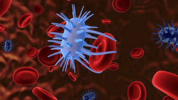 多发性硬化症的免疫治疗研究