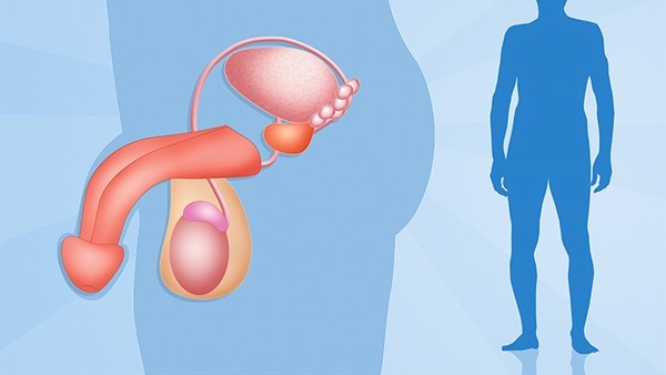 如何通过合理饮食支持女性生殖器官结核的治疗
