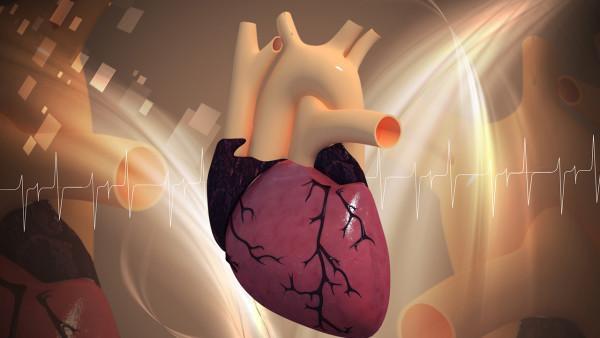 紫癜的免疫调节治疗