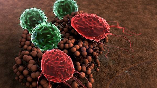自身免疫性血小板减少性紫癜的早期治疗