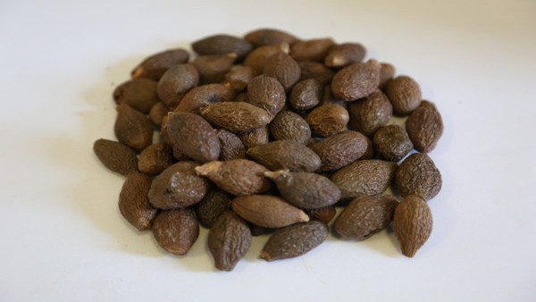 人乳头瘤病毒感染的疫苗接种效果