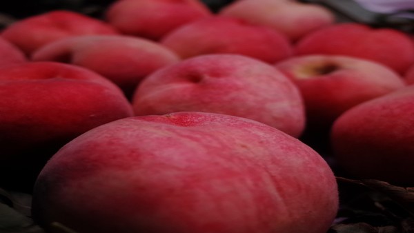 原发性醛固酮增多症是否会导致肾功能衰竭