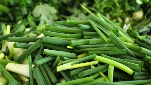 岩藻糖苷贮积症的症状可以缓解吗