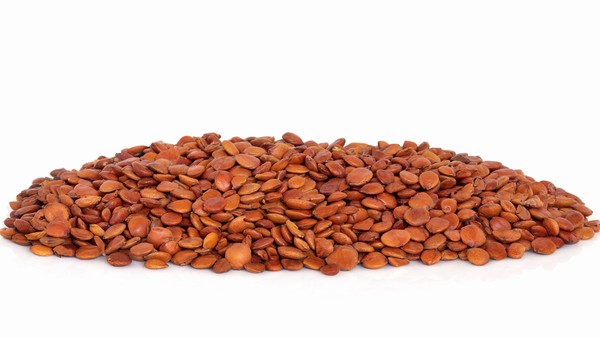 硬下疳的治疗期间需要注意哪些