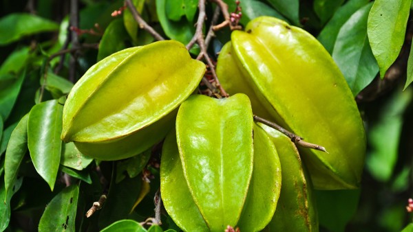 高嗜酸性粒细胞综合征的皮肤症状