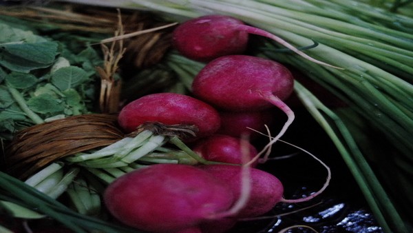 胰腺癌患者如何缓解食欲不振