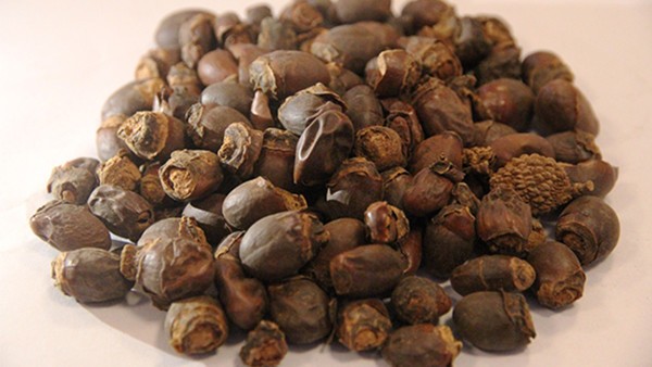 高血脂的药物治疗