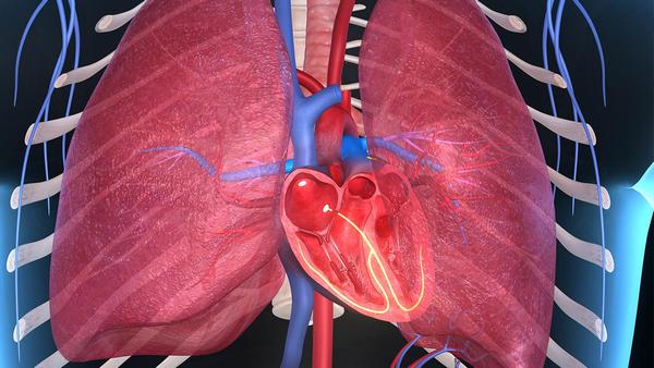 子宫内膜炎会影响孕期吗