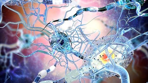 老年人惊厥的症状与治疗