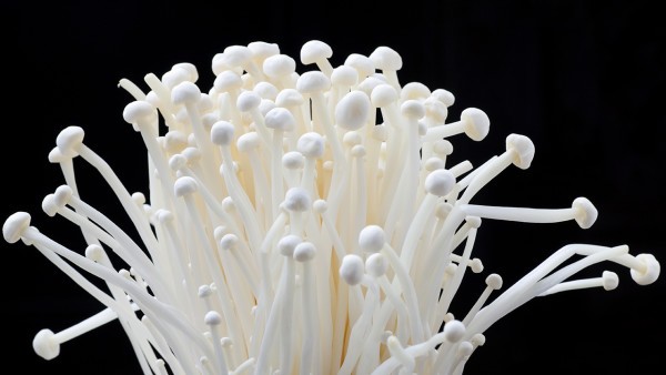 湿疹能否通过激光治疗