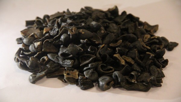 消化不良会影响排便吗