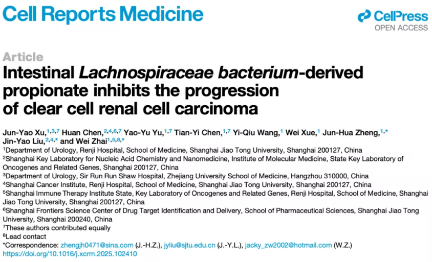 肠道细菌L. bacterium及其代谢产物丙酸盐对肾透明细胞癌进程的抑制作用