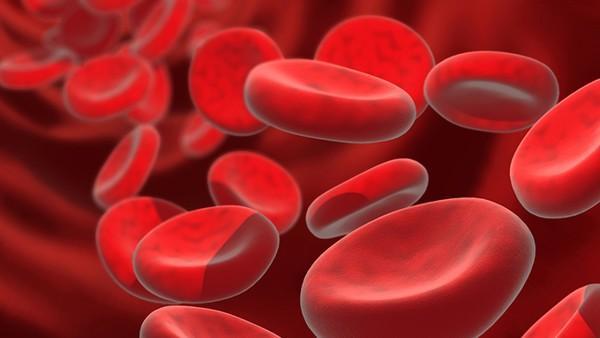 过敏性鼻炎能吃药物长期控制吗