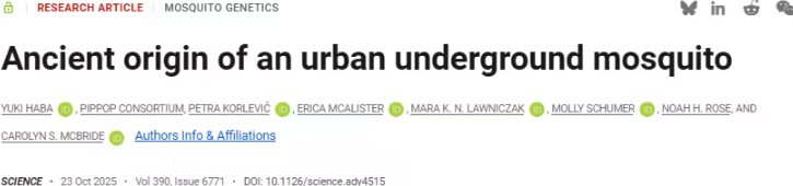普林斯顿团队颠覆经典案例：地下蚊子并非城市进化产物，而是古老血统延续