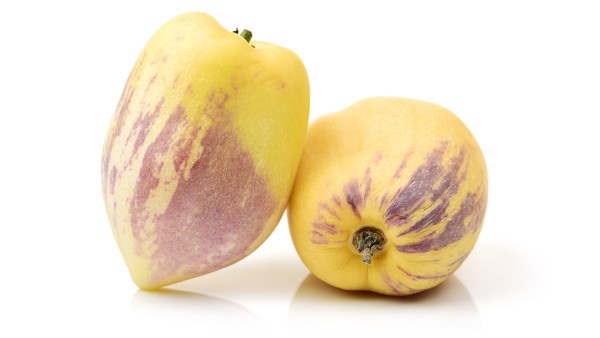 中粒细胞减少症的药物治疗方案