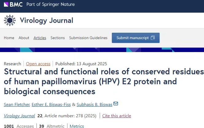 人类乳头瘤病毒新发现：AI揭示其致癌“开关”，或为新药研发指明方向