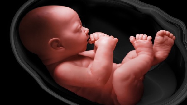 百日咳药物副作用