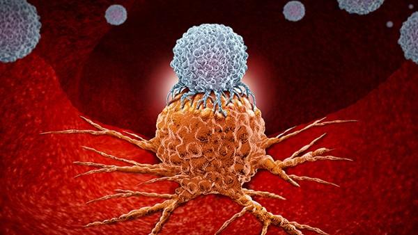 脊髓小脑变性共济失调的临床试验