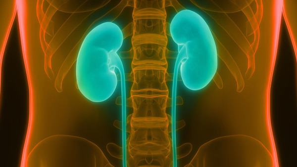 鳞癌能否通过手术治疗