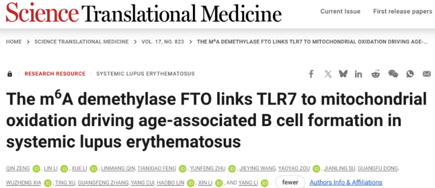 南方医科大学团队揭示 FTO 介导的 B 细胞代谢通路在系统性红斑狼疮中的关键作用