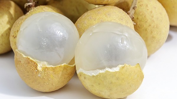 岩藻糖苷贮积症的恢复治疗