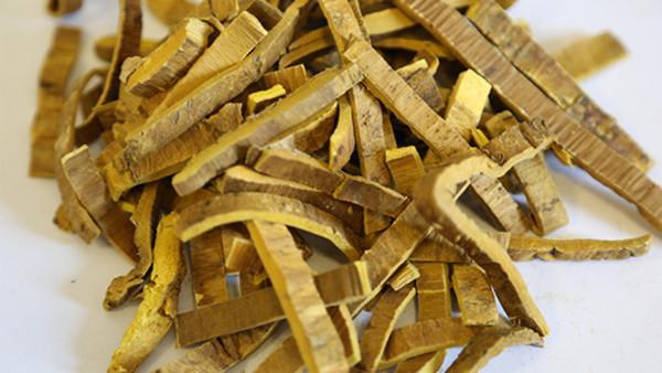 慢性阻塞性肺病与支气管炎的关系