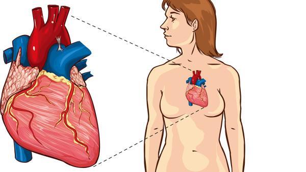 肺炎患者的咳嗽有什么特点？