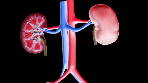 水痘肺炎的传染源