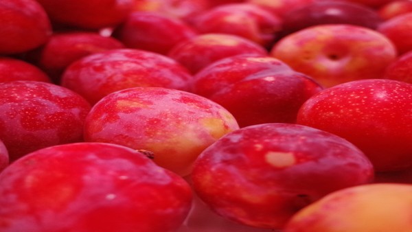 胶质母细胞瘤的化疗效果