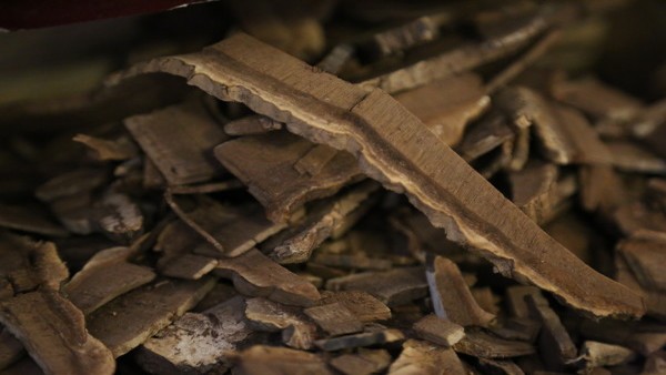 血小板减少症的发热症状