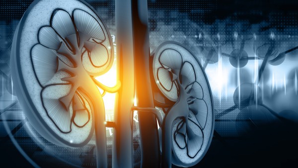 恶病质和虚弱的区别