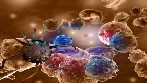 α-甘露糖苷病能治愈吗？