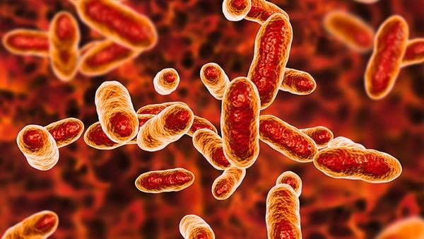 焦虑症如何管理日常压力