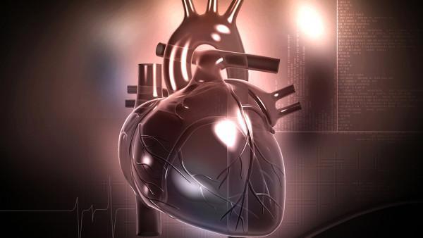 肺炎患者的心理支持