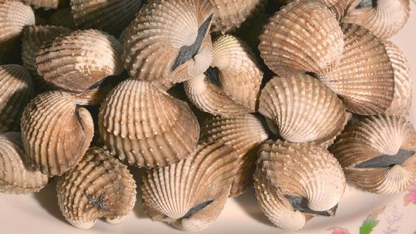 甲状腺功能减退的治疗方案选择