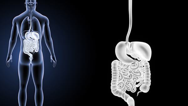 囊性纤维化的饮食调整