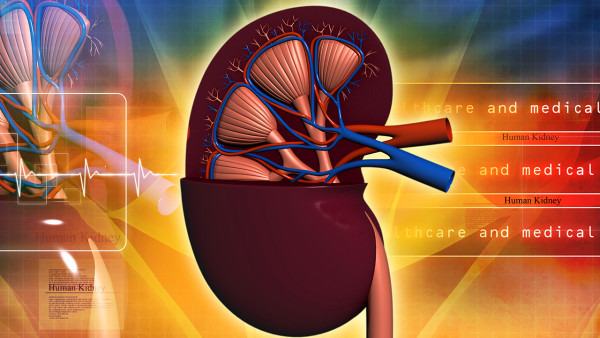 抑郁症患者是否能结婚生子