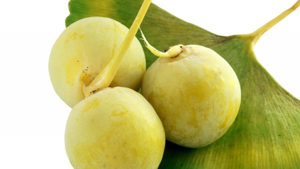 组织细胞瘤的日常护理注意事项