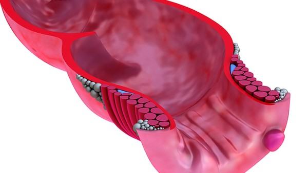 乳腺癌治疗后的生活方式调整