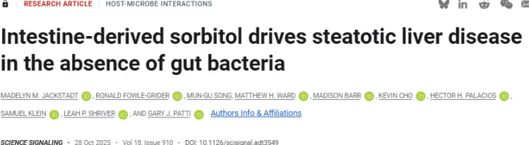 山梨糖醇：无糖食品背后的隐形健康风险