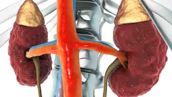 血小板增多症患者如何管理情绪