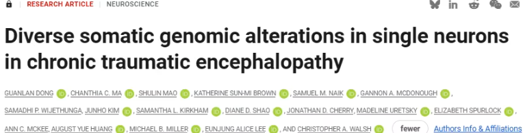 新研究揭示慢性创伤性脑病（CTE）与阿尔茨海默病（AD）的共同基因特征