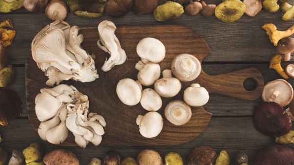 睾丸癌患者的日常生活建议